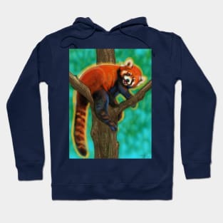 Red Panda Hoodie